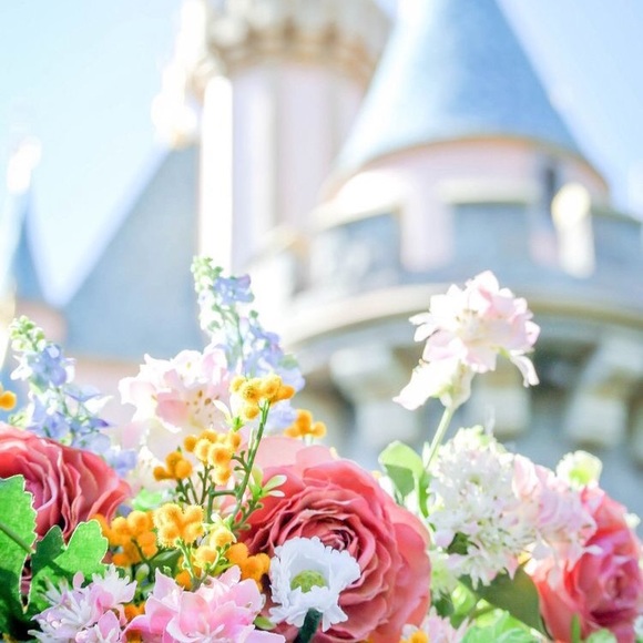 Meet your Posher, Amy - Picture 1 of 1